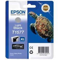 Epson Stylus Photo R3000 Light Black