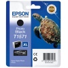 Epson Stylus Photo R3000 Black Ink